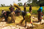 Professionally Organize Farmers