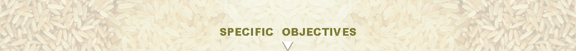 Specific Objectives